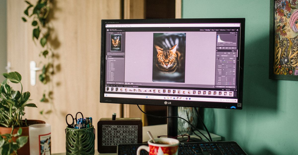 Czy Photoshop jest darmowy? Sprawdzamy, ile naprawdę kosztuje Adobe Photoshop